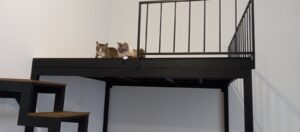 Спальня на антресольном этаже