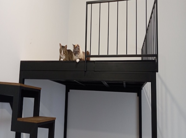 Как использовать антресоль с умом: 10 функциональных и стильных решений